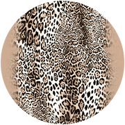 Cool For Cats - Pinkhill