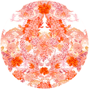 DRAGON MOTHER - Pinkhill