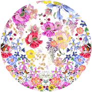 Fairy Gang - Pinkhill