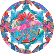 Flamenco Flamingo - Pinkhill