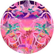 Flight Of The Flamingo - Pinkhill